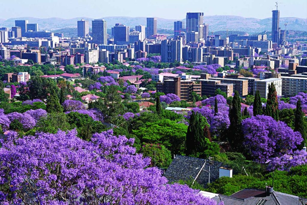 website designer in pretoria